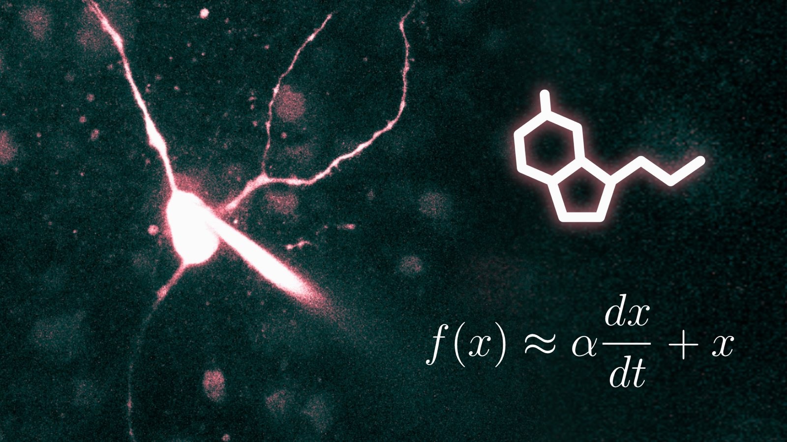 Microscope image of a glowing serotonin neuron. The formula f(x) = alpha dx/dt + x is overlaid on the image.